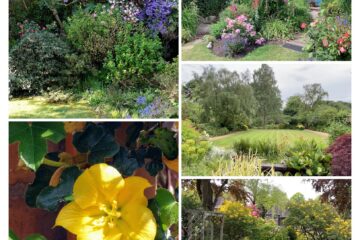 Open Gardens collage 1
