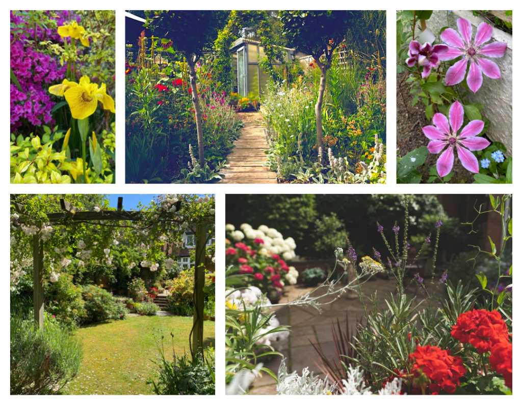Open Gardens collage for 2023