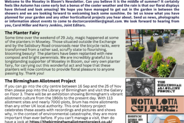 Image of the August newsletter featuring articles and pictures of planters, Birmingham allotments and the pop up plant sale.