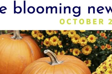 Blooming News October 2025