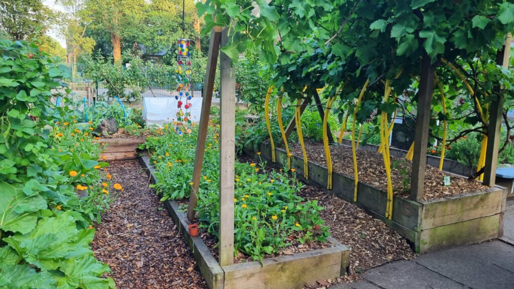 Martin De Porres School Moseley 2 Martin De Porres School Moseley Garden