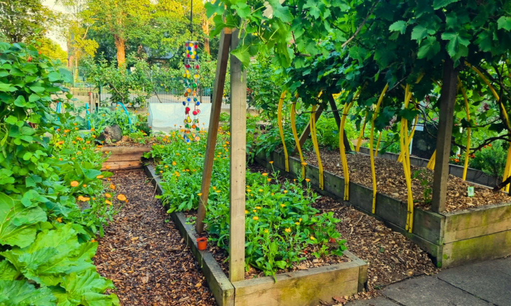 St Martin de Porres - Moseley School Garden