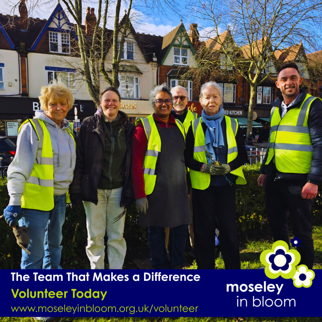 Moseley in Bloom Volunteers - The Team That Make a Difference
