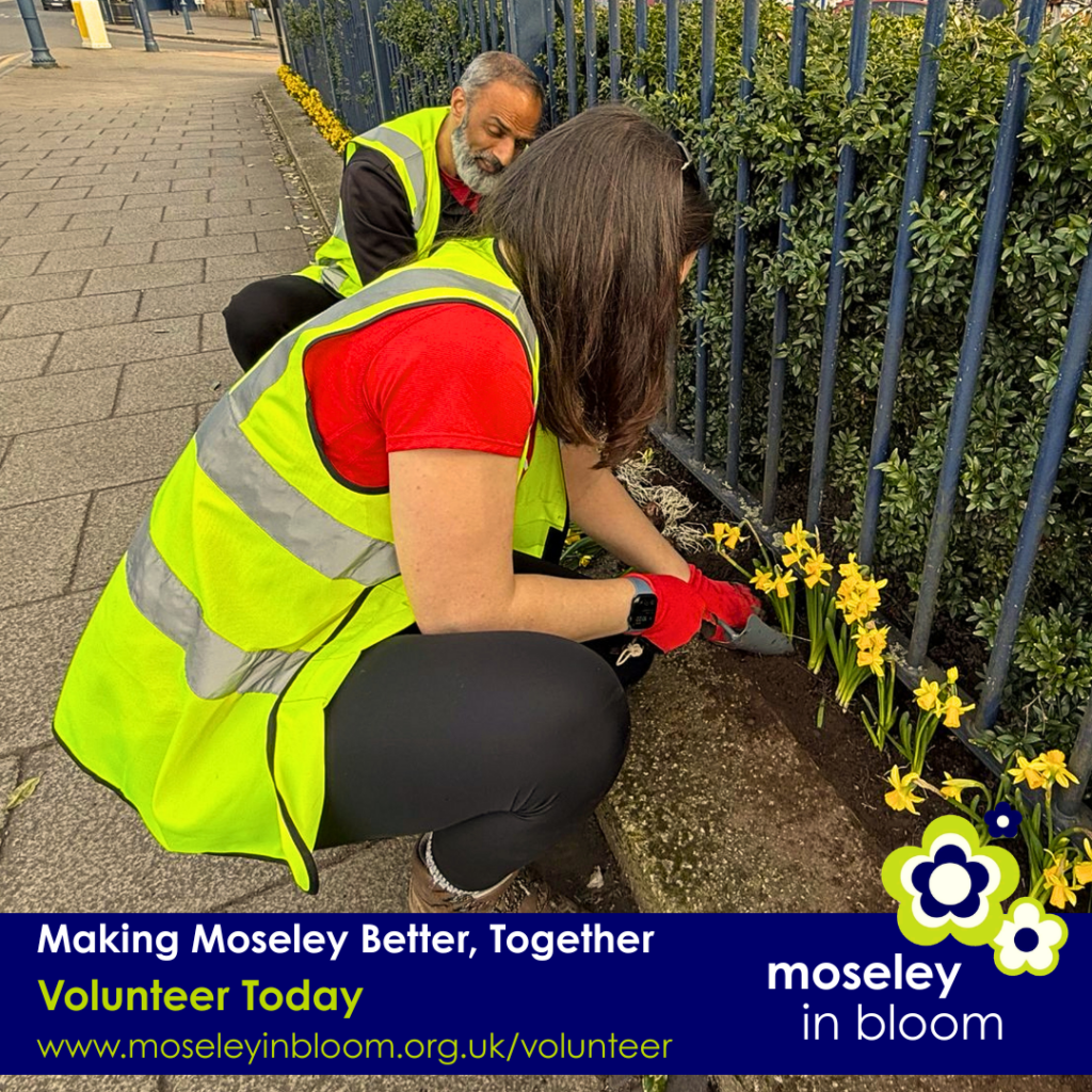 Moseley in Bloom Volunteers: Making Moseley Better