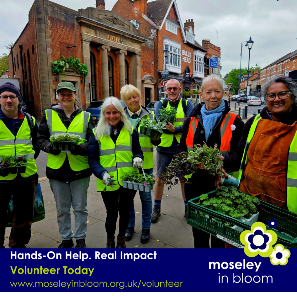 Moseley in Bloom Volunteers - Hand-on help - Real Impact