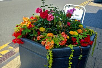 Floral Planter Moseley 2