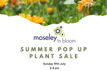 Summer Pop Up Plants Sales - 19th July