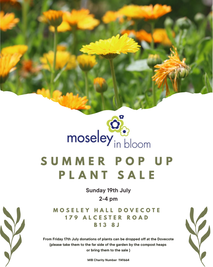 Summer Pop Up Plants Sales - 19th July