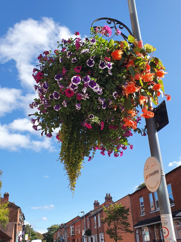 Moseley Hanging Basket with Sponsor