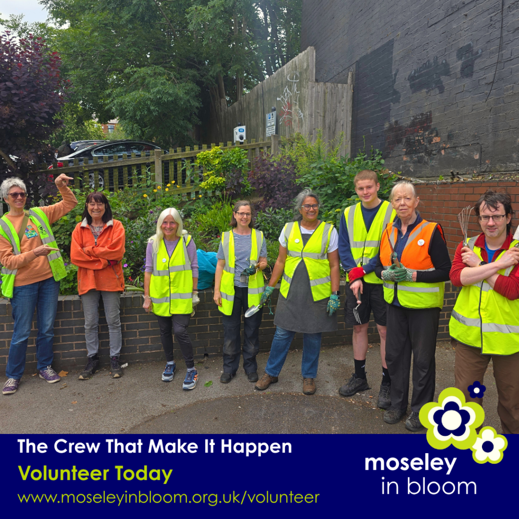 Volunteer Herb Harvest - Join Our Moseley in Bloom Team