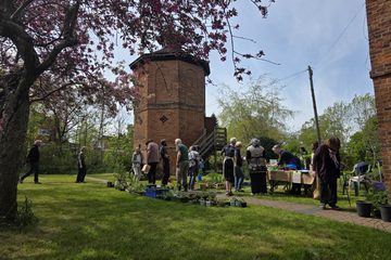 Moseley Dovecote Plant Sale